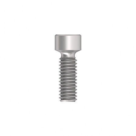 Occlusal screw 220.2100.52