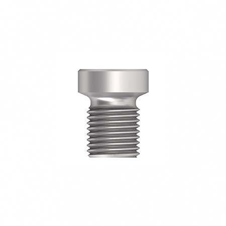 Occlusal screw 221.3200.40